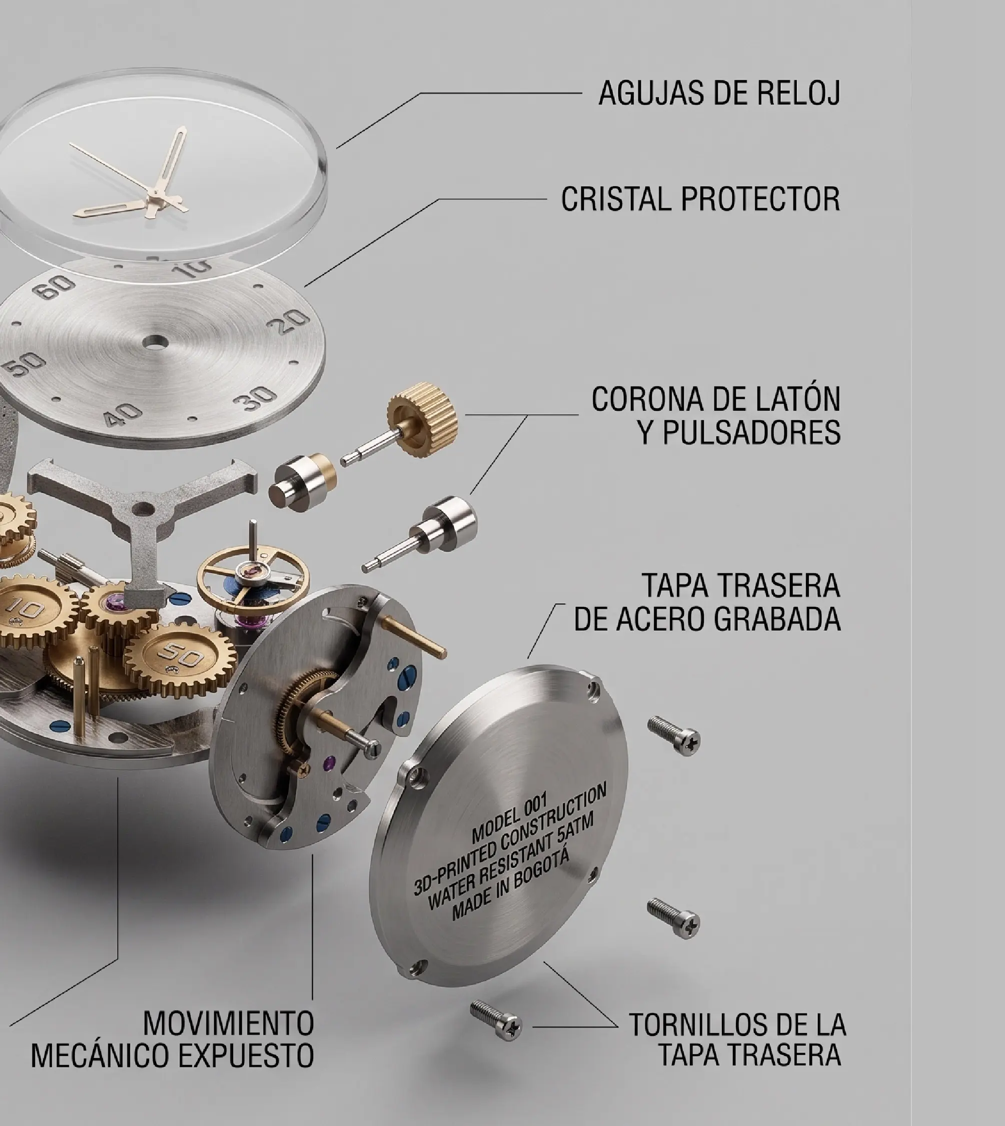 ESTRUCTURA PROYECTIS WEB 2026 copia-20